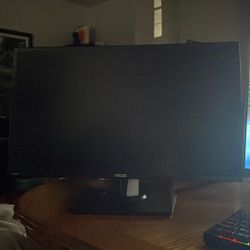 Asus Monitor 
