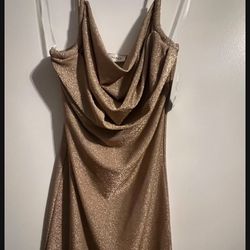 Gold/Beige Glittery Dress