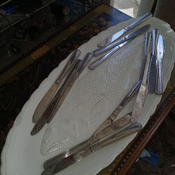 Tray And Utensils All 2 Dollar 