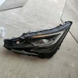Prius Headlight 