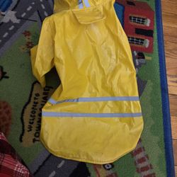 Swimwear And Dog Items