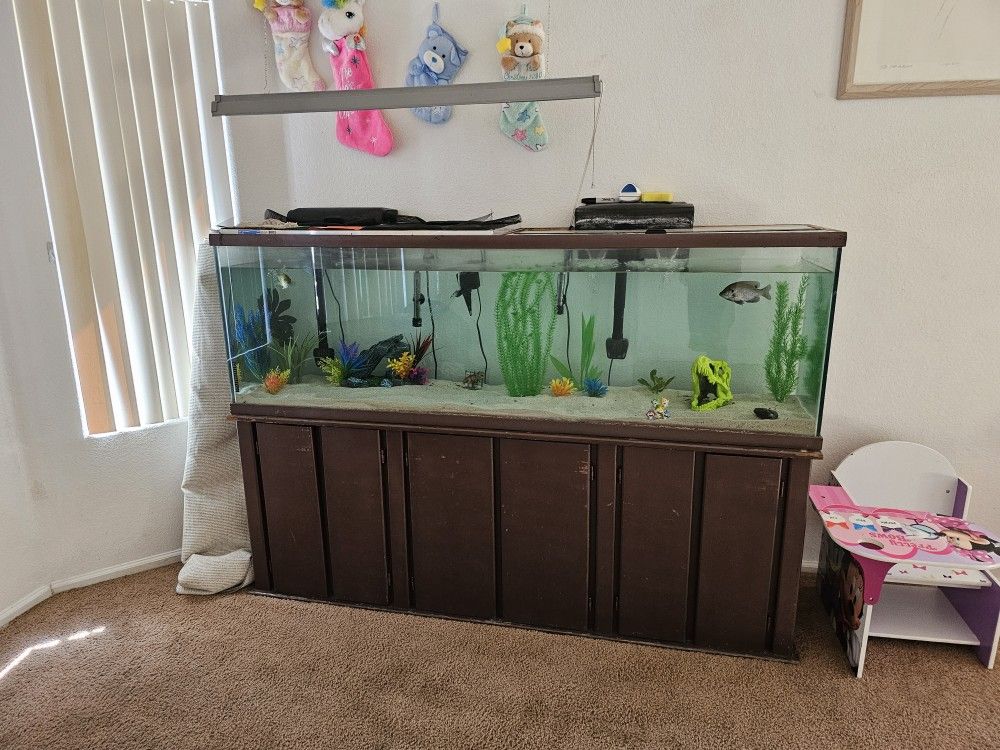 150 Gallon Tank for Sale in Litchfield Park, AZ OfferUp