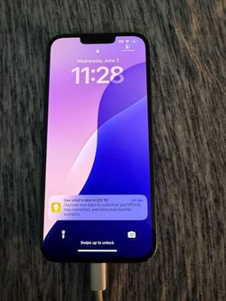 Apple iPhone 13 Pro Max - 256GB - Unlocked