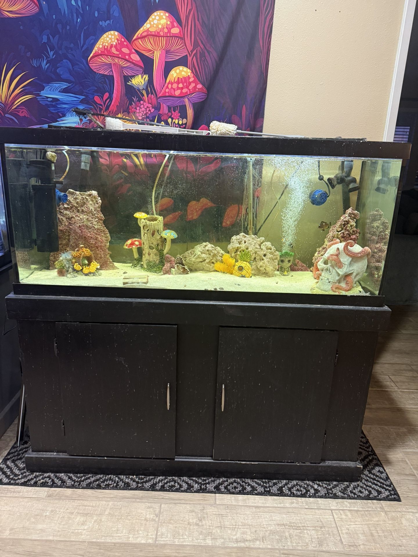 Salt Water Fish Tank