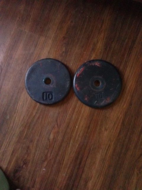 Two 10 Lb. Plate Weights