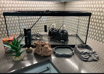 Reptile habitat terrarium 30”by 12”by13” with all Acessories