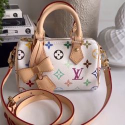LOUIS VUITTON Nano Speedy Murakami