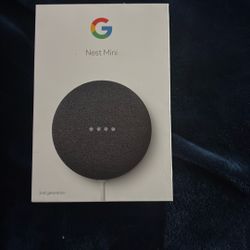 Google Nest (Brand New)
