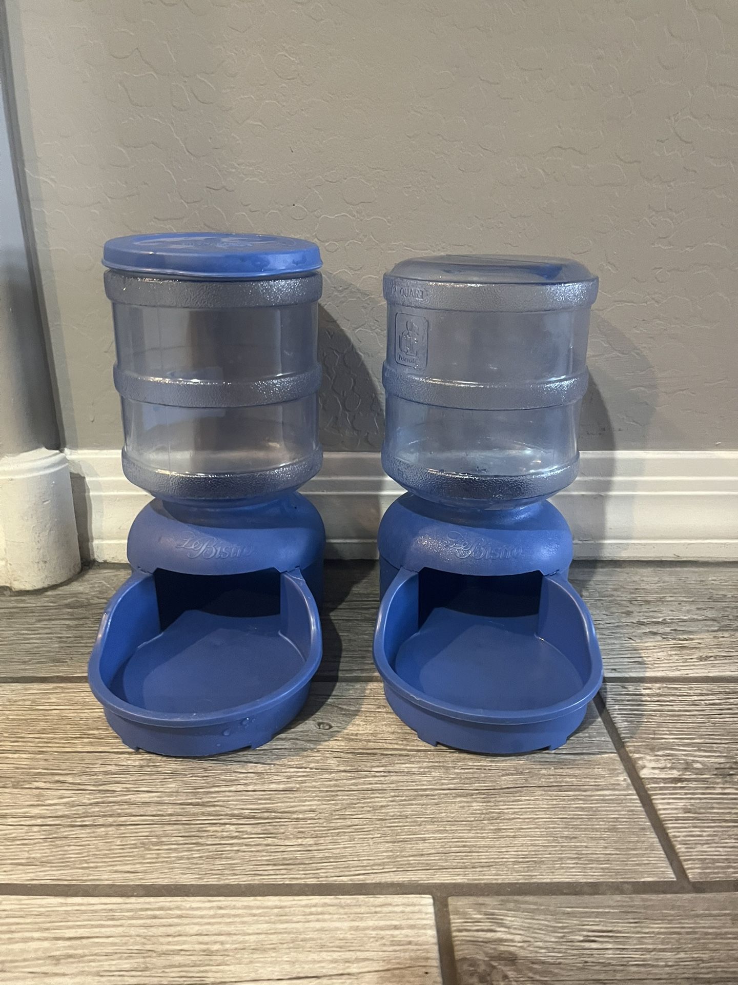 Doggy Water & Food Jugs 