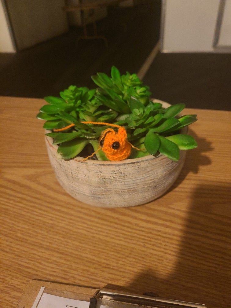 Fake potted plant succulents