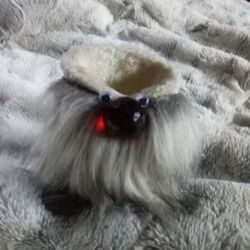 Gnome Phone Holder  Handmade 