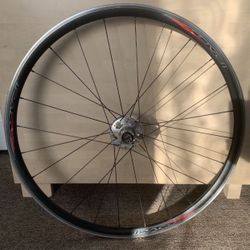 Specialized Roval Classique Pavé SL E5 Rear Wheel 700c for Road Bike