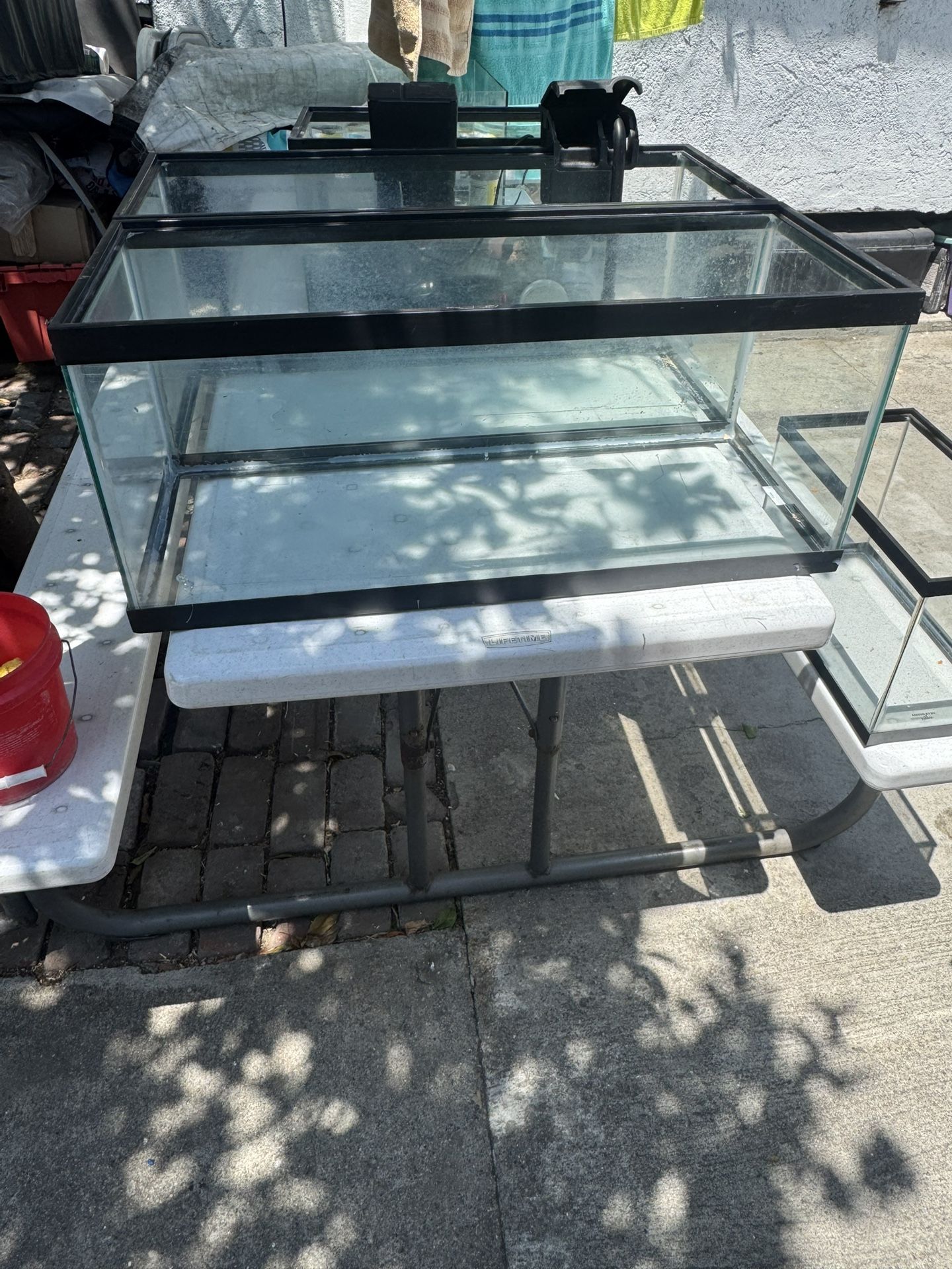 Fish Tank
