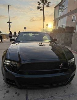2013 Ford Mustang