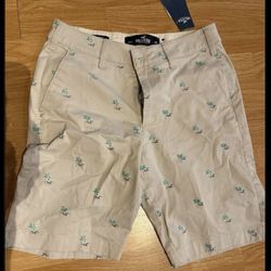 Men’s Hollister Shorts