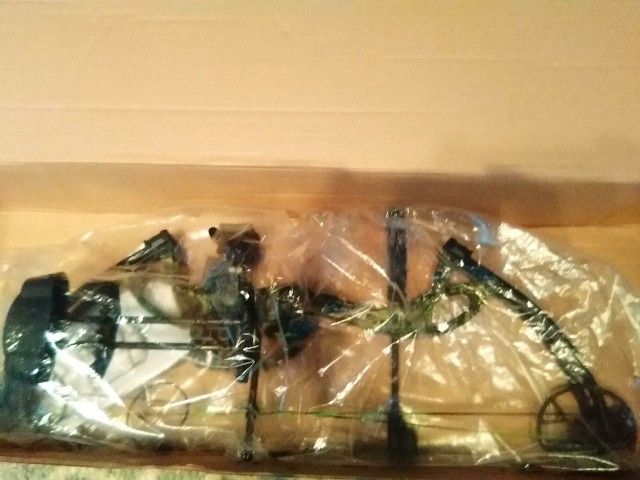 Compund Bow
