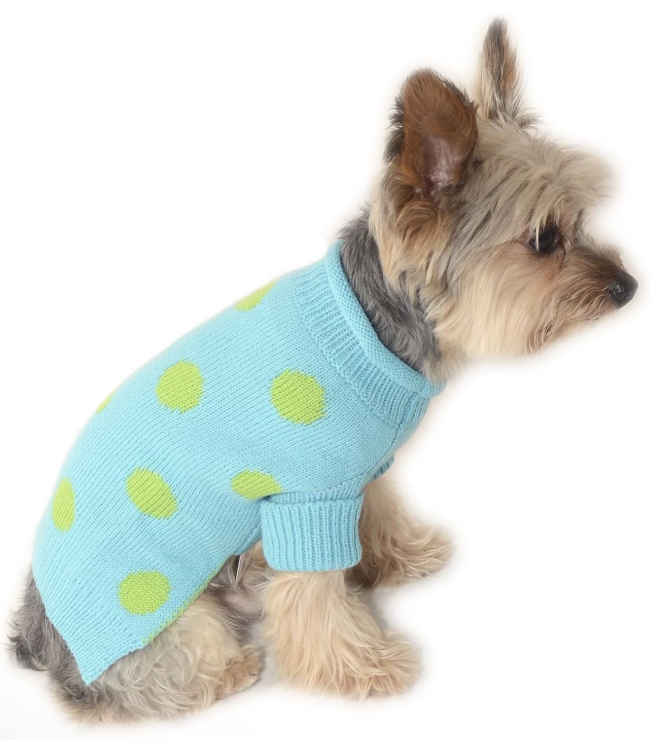 BRAND NEW Aqua Blue Polka Dot Dog Sweater Size #12