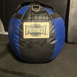 ProLast Wrecking Ball Heavy Pinching Bag