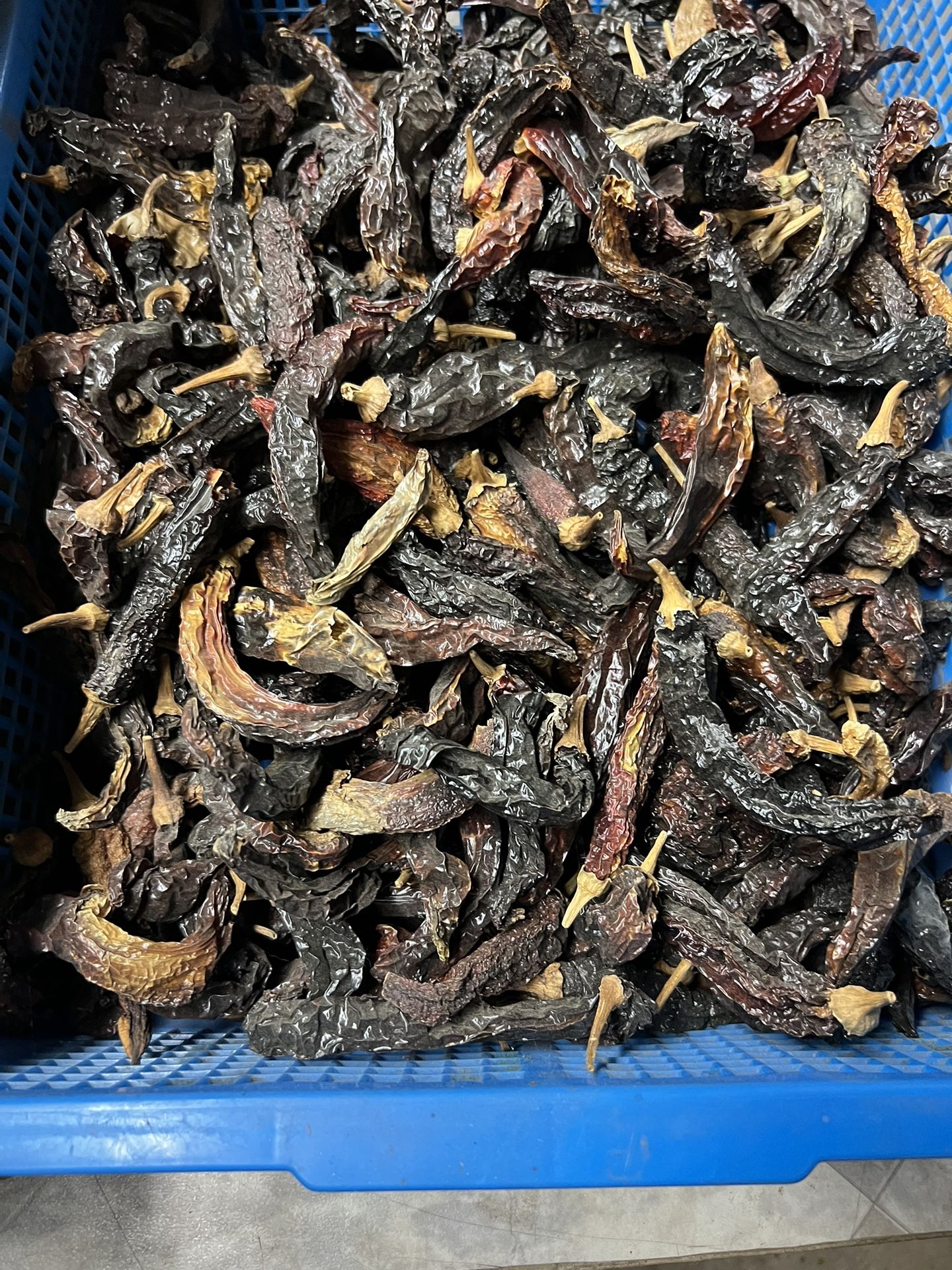 Chile Chilaca Seco
