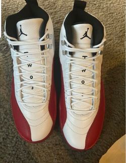 Air Jordan retro 12 size 8