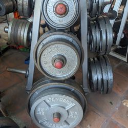 245 Lb Olympic Weight Set 