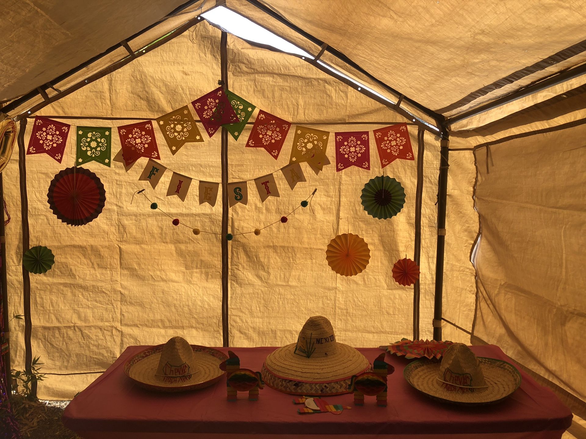 Fiesta party decor!