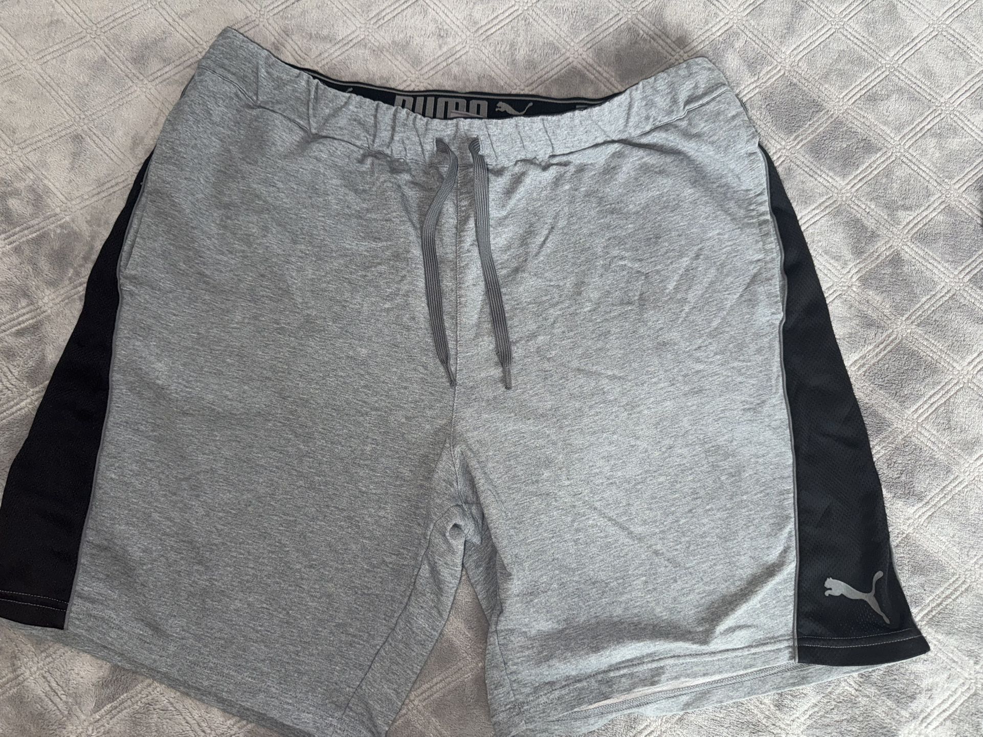 Puma men’s shorts size XL grey