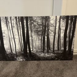 Black & White Canvas 