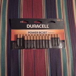 24 Pack AAA Batteries (exp. March 2036)