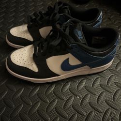 Nike Dunks Low 