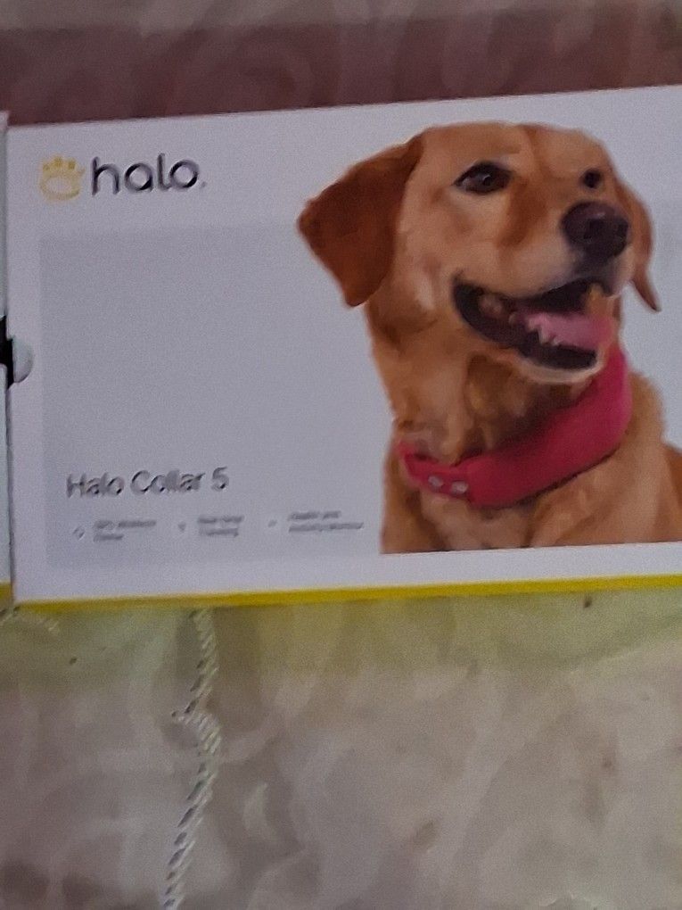 Halo Dog Collars