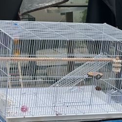 Bird Flying Cage ( Carrier )