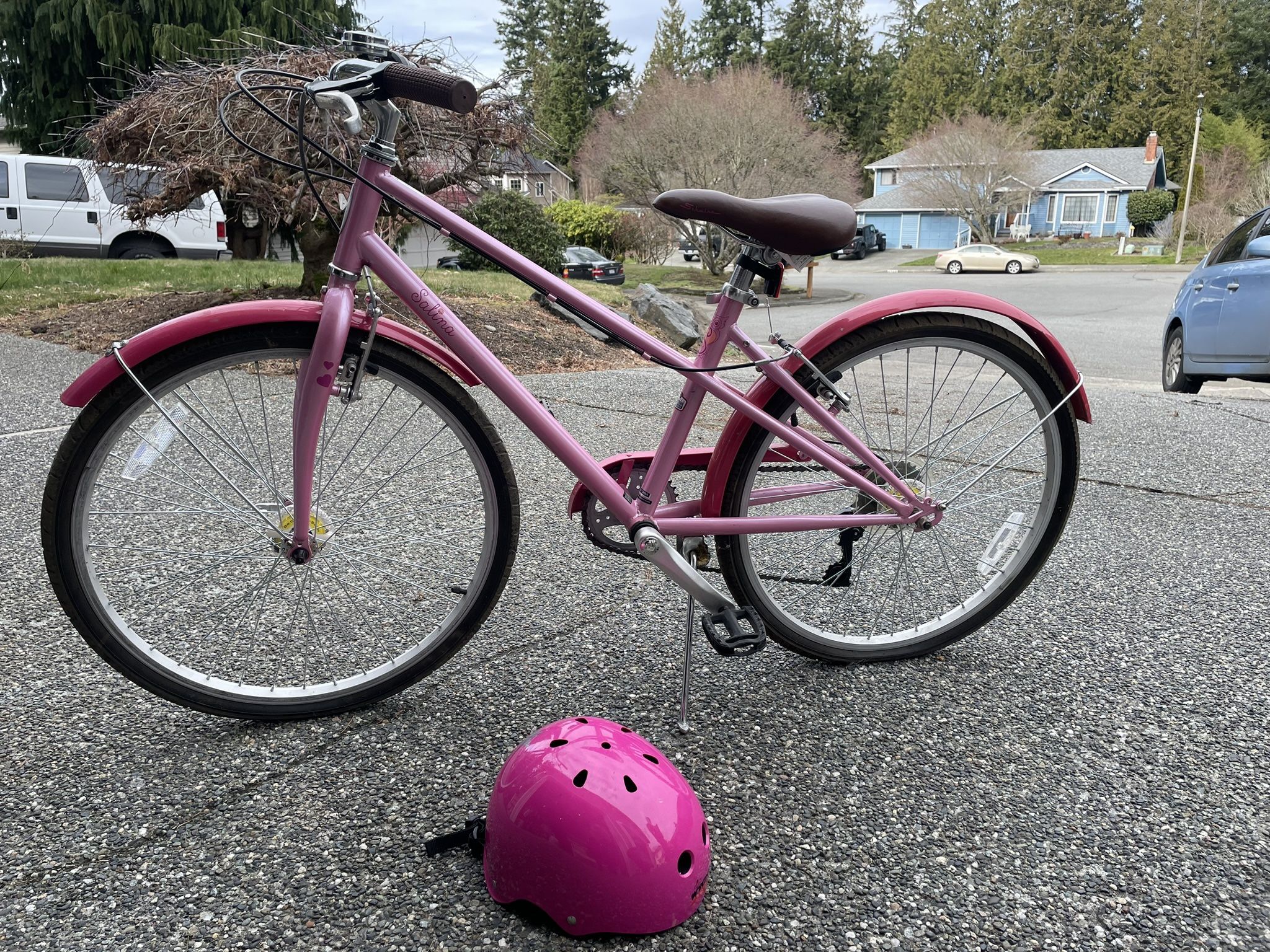 24” Schwinn Girls Bike