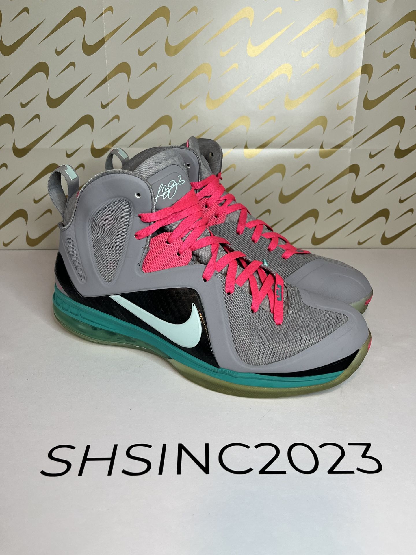 Size 12 Nike LeBron South Beach Miami Vice