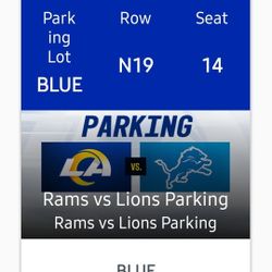 Rams vs Lions -Blue Parking Lot 
