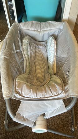 Rock & Play lounger