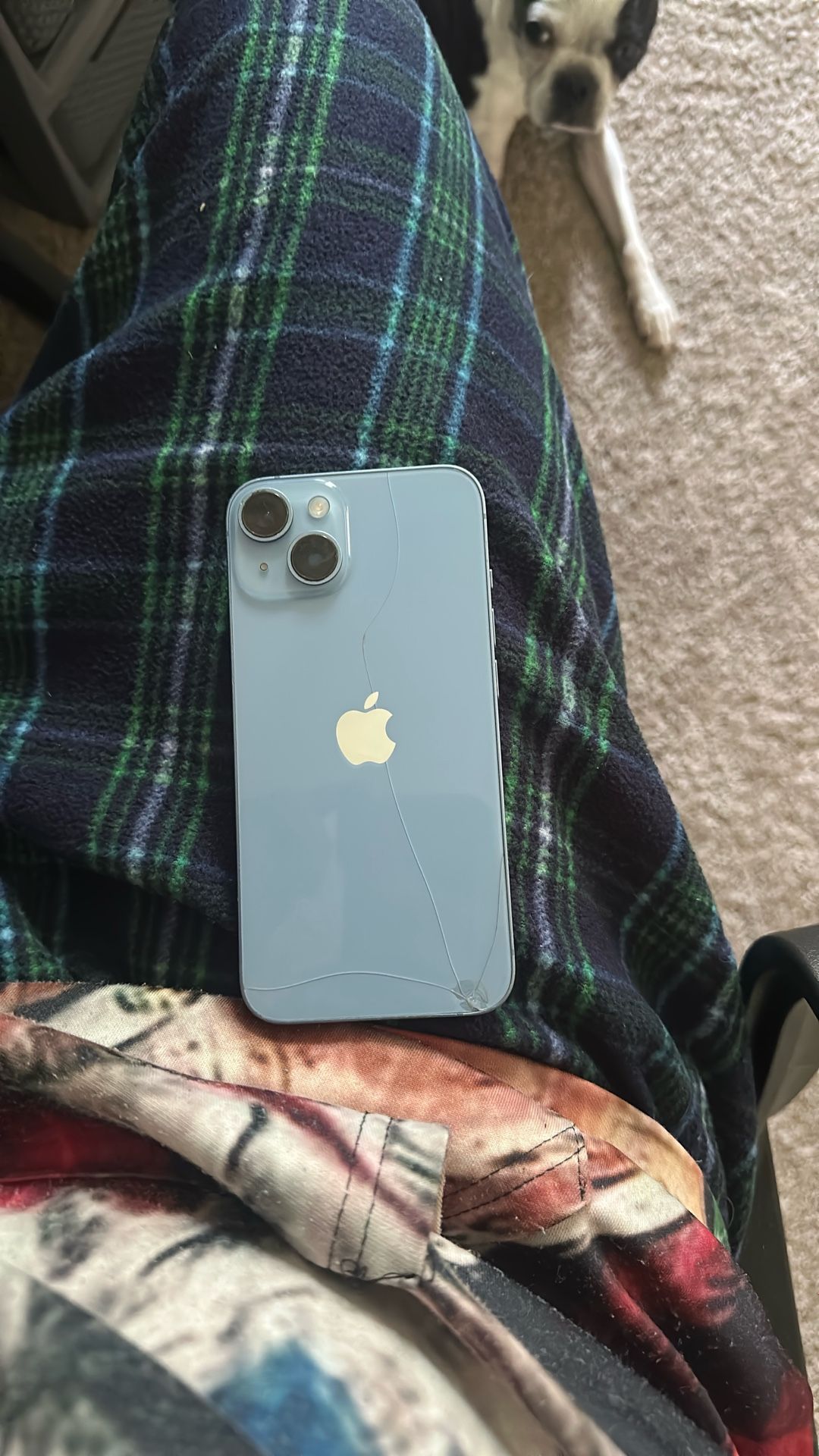 iPhone 14