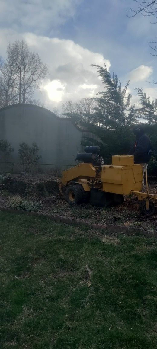 Tree And Stump Grinding 