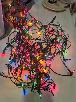Shrub Christmas Light Net
