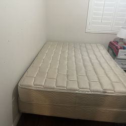 Free Queen/Full Mattress and box spring 