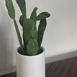 20” Faux Cactus Plant Potted In The White Ceramic Pot With Light Wood Base 