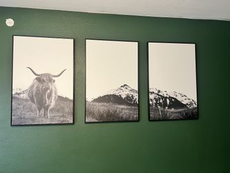 Pictures