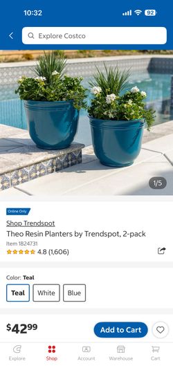 Teal Theo Resin Planters by Trendspot