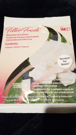 Filter fresh air freshener