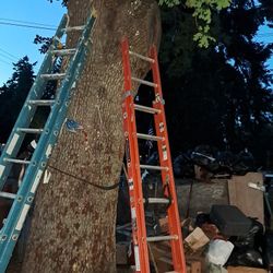 16' Ladders