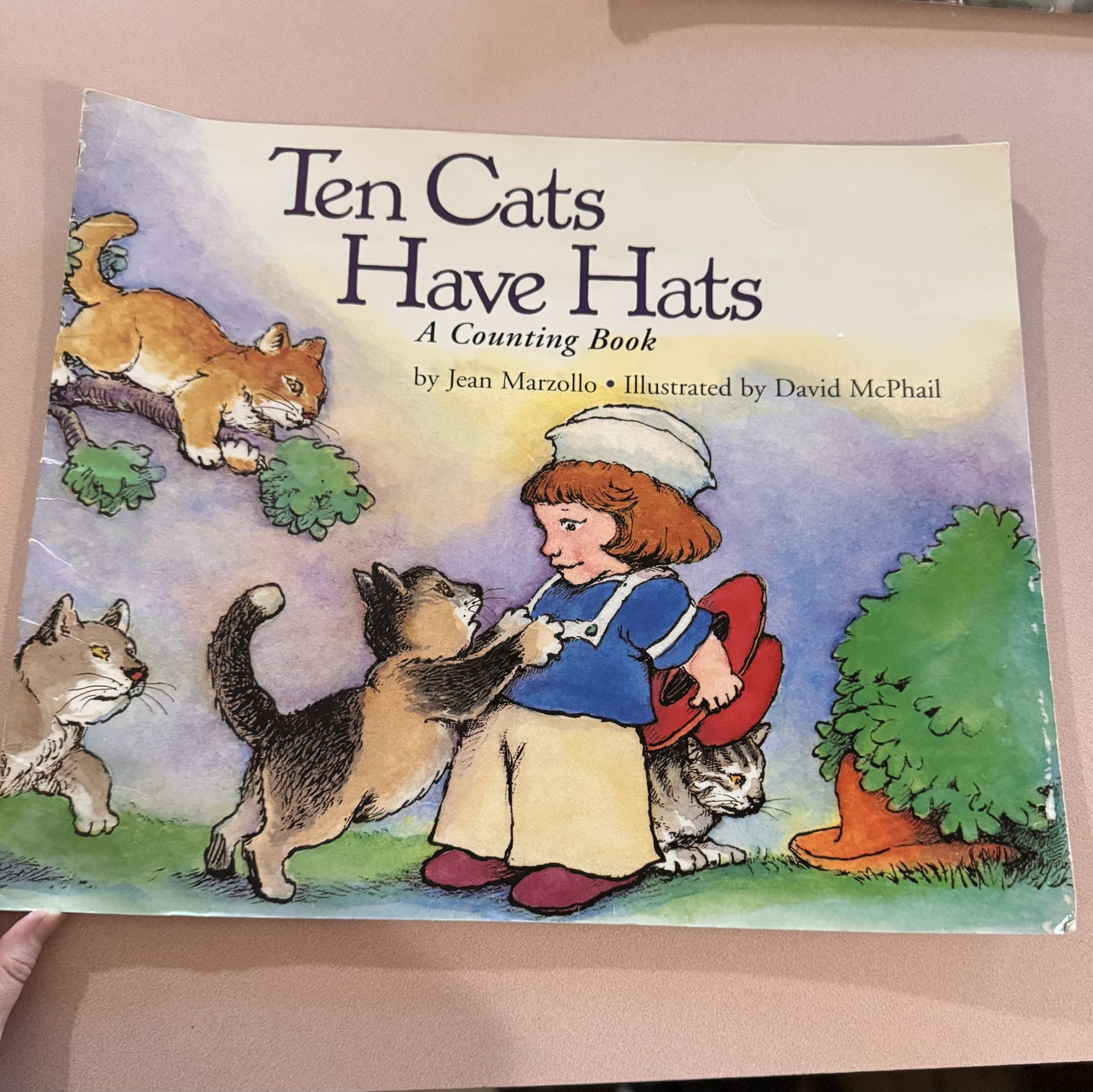 Large Kids Book. “ Ten Cats Have Hats.”