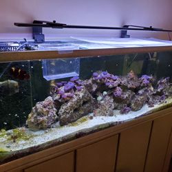 100 Gallon Fish Tank - Tank Only