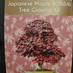 Japanese Maple Kit