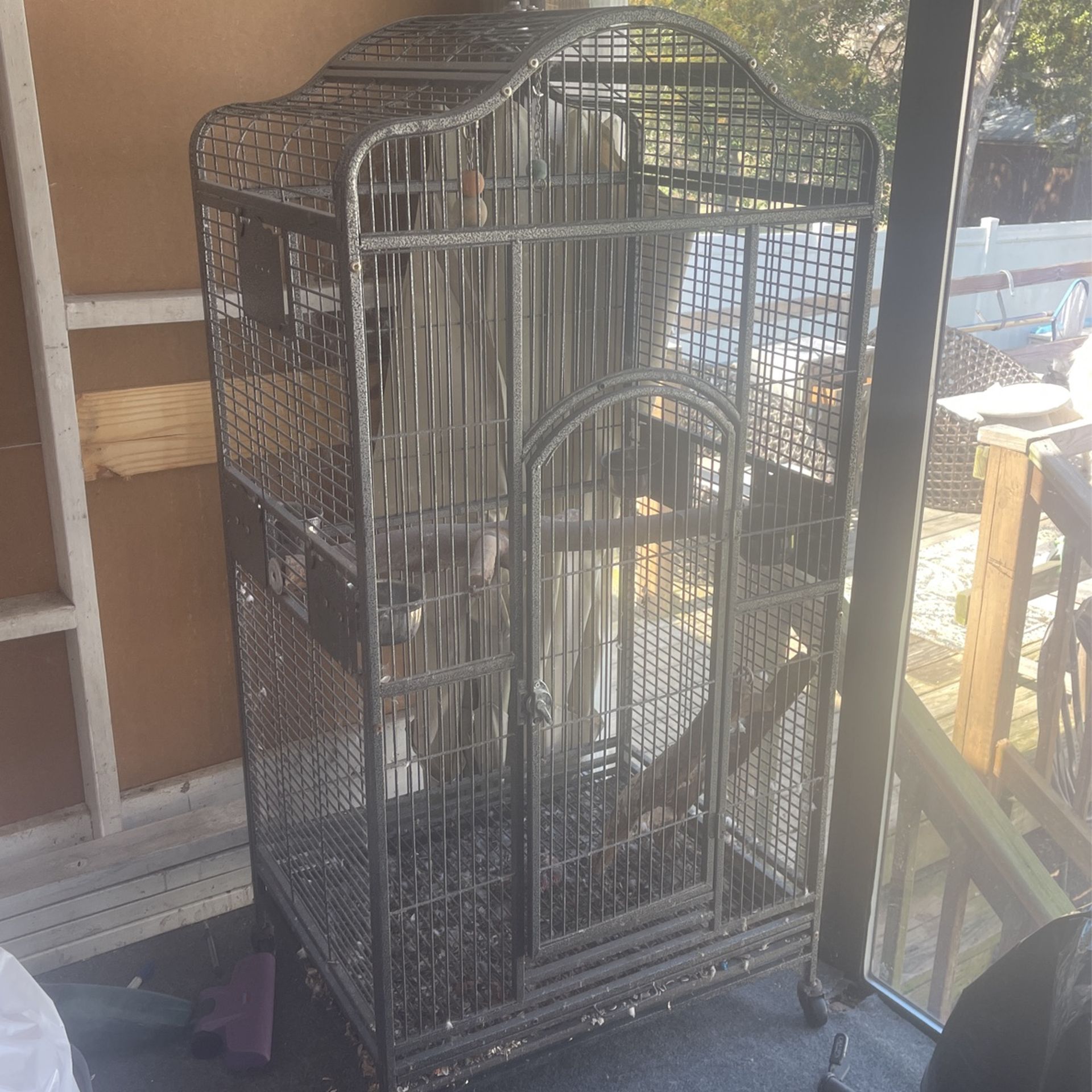 Bird Cage