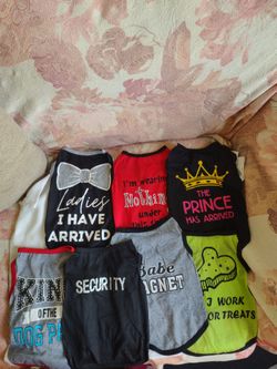 Medium cute shirts